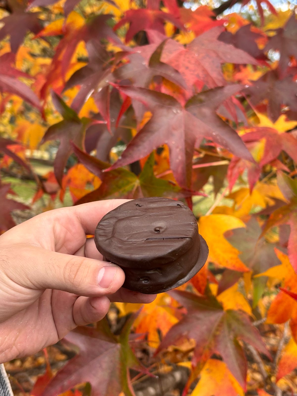 Alfajor Sable